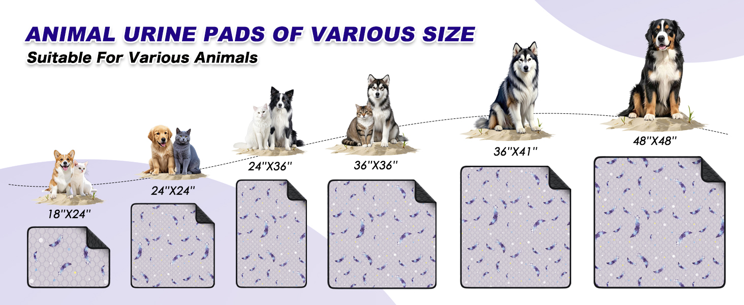 Description Image